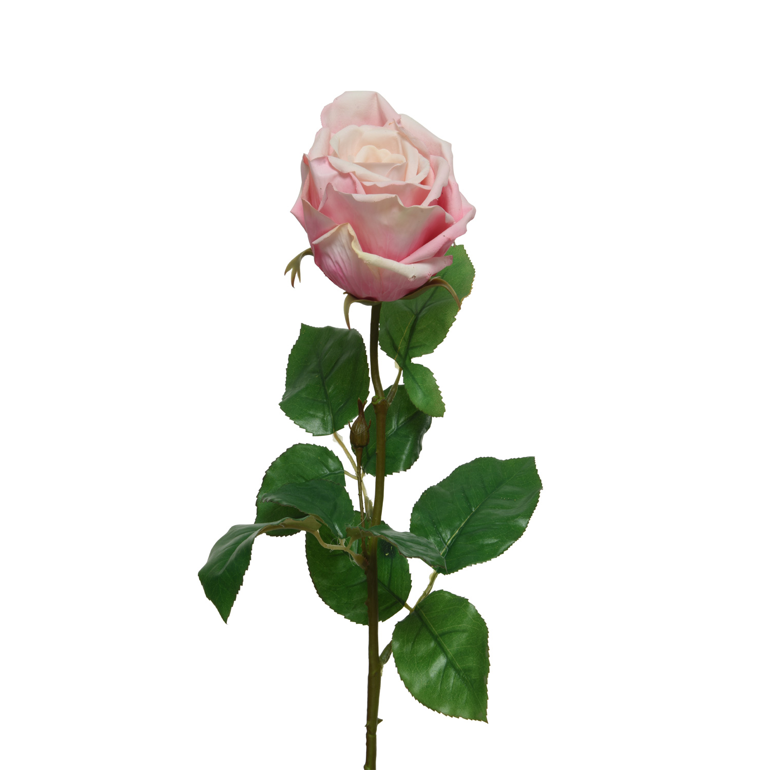 Rose am Stiel - Kunstblume - Real Touch Oberfläche - H: 68cm - rosa Rose am Stiel - Kunstblume - Real Touch Oberfläche - H: 68cm - rosa