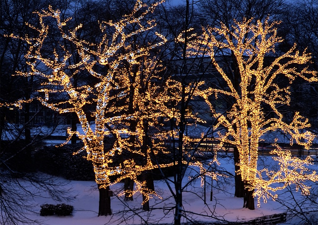 System LED Black | Lichterkette | koppelbar | exkl. Trafo | 5.00m | 50x Warmweiß