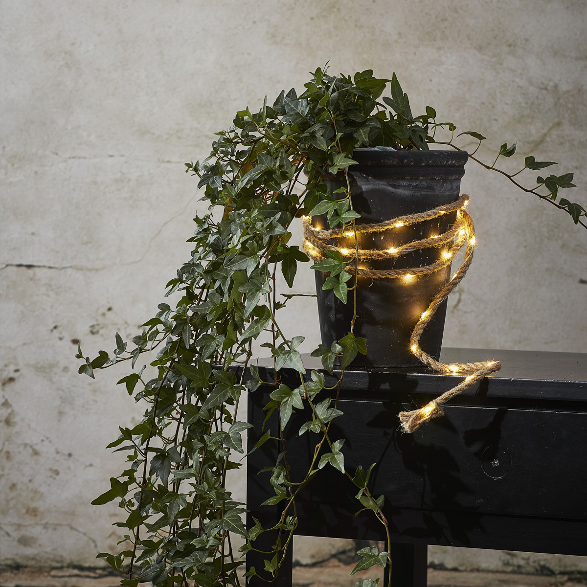 LED Lichterkette im Seil - 15 warmweiße LED auf Kupferkette - L: 1,5m - Batteriebetrieb LED Lichterkette im Seil - 15 warmweiße LED auf Kupferkette - L: 1,5m - Batteriebetrieb