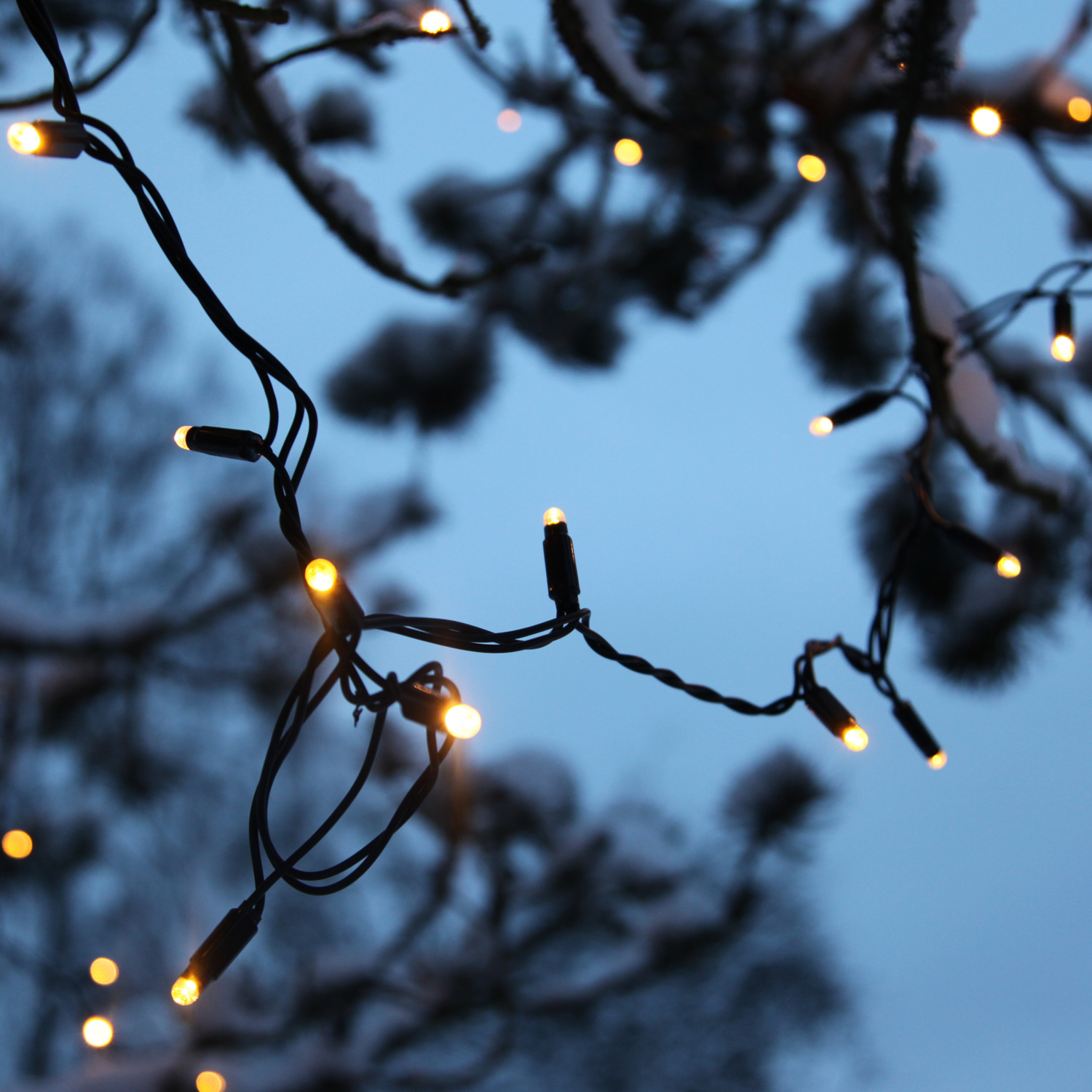 System 24 - LED Lichterkette 5m - koppelbar - Erweiterung - 49 warmweiße LED - exkl. Trafo System 24 - LED Lichterkette 5m - koppelbar - Erweiterung - 49 warmweiße LED - exkl. Trafo
