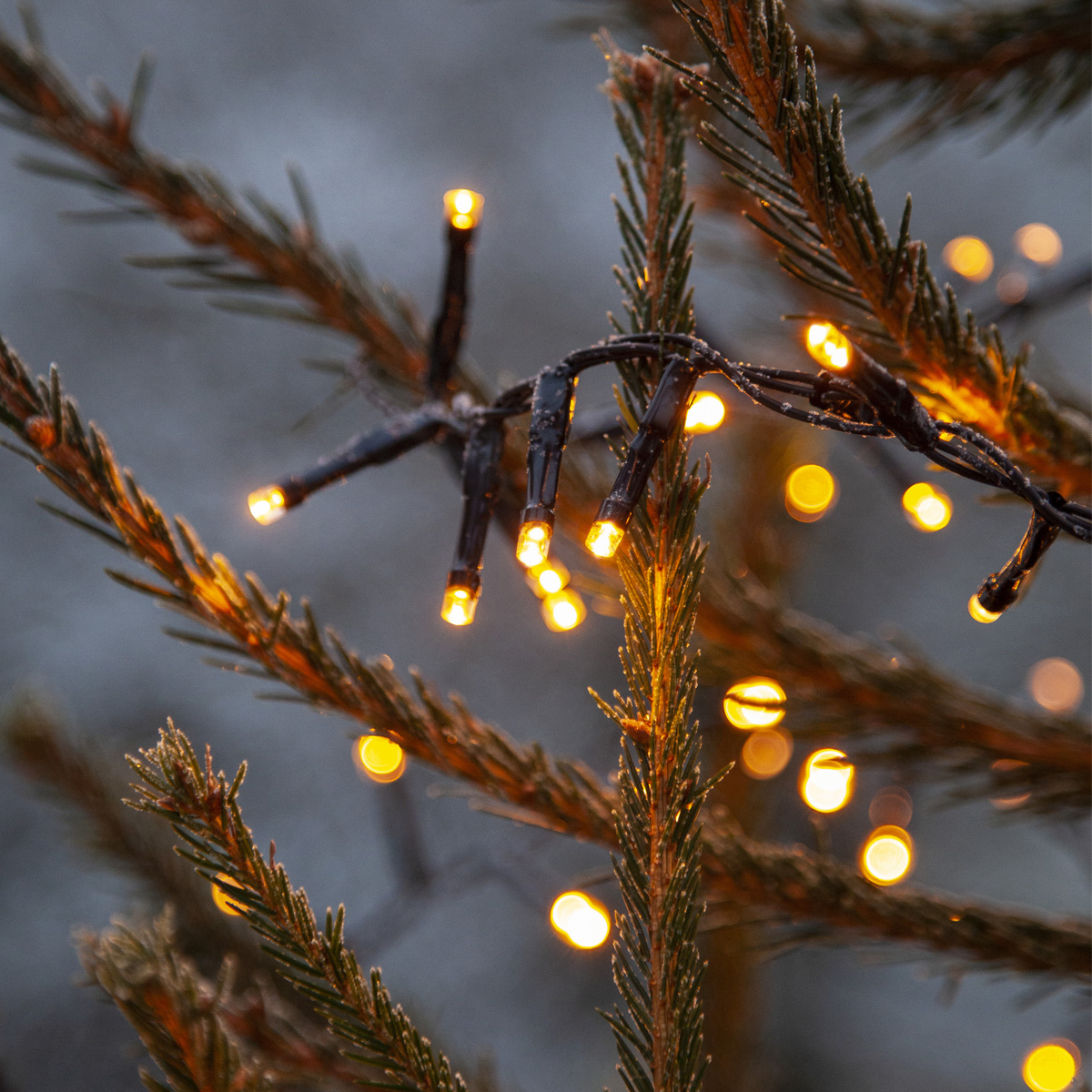 LED Lichterkette - Serie LED - outdoor - 180 ultra warmweiße LED - L: 3,6m - schwarzes Kabel LED Lichterkette - Serie LED - outdoor - 180 ultra warmweiße LED - L: 3,6m - schwarzes Kabel