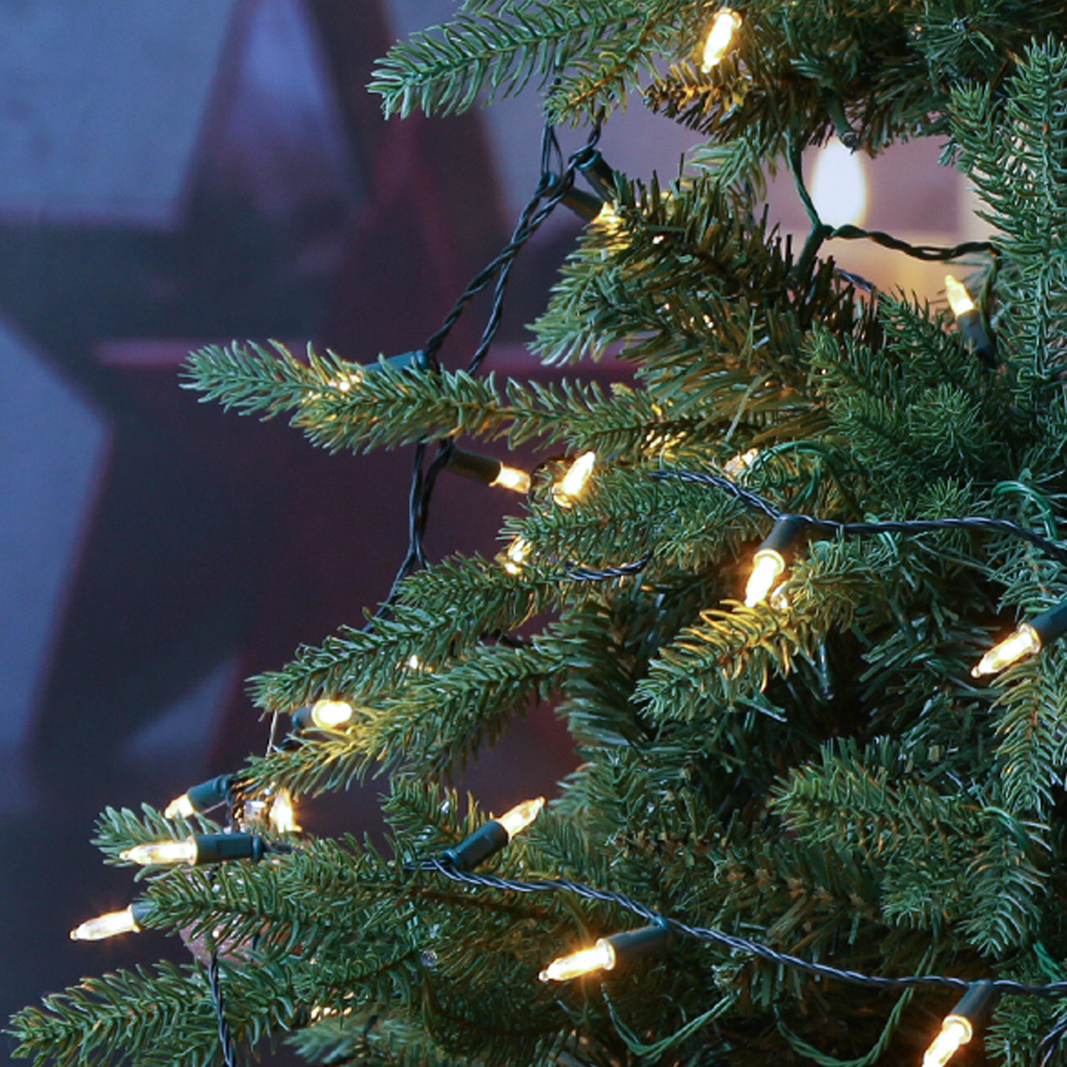 LED Lichterkette Pisello - Weihnachtslichterkette - 20 warmweiße LED - 8 Funkt. - L: 1,9m - Batterie LED Lichterkette Pisello - Weihnachtslichterkette - 20 warmweiße LED - 8 Funkt. - L: 1,9m - Batterie