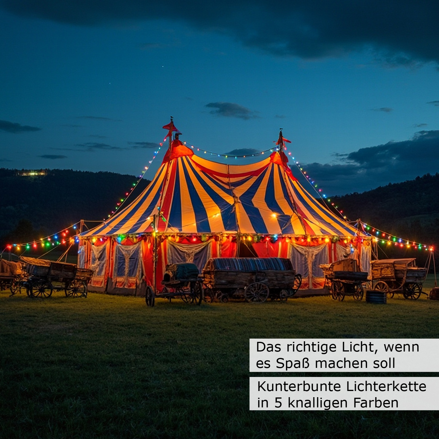Illu-/Partylichterkette 40m - Außenlichterkette schwarz - Made in Germany - 40 bunte LED Kugellampen