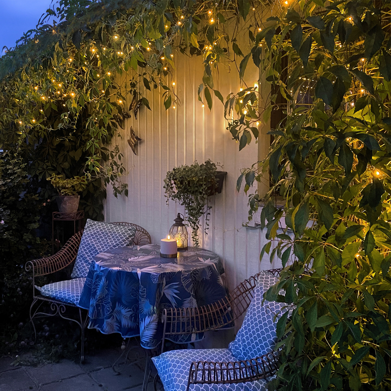 LED Lichtvorhang - Serie LED - outdoor - 960 ultra warmweiße LED - L: 23,9m, H: 55cm - schwarzes Kabel LED Lichtvorhang - Serie LED - outdoor - 960 ultra warmweiße LED - L: 23,9m, H: 55cm - schwarzes Kabel