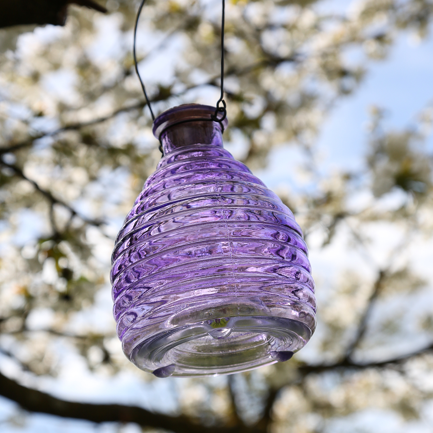 Wespenfänger HONIGTOPF - Wespenfalle - geriffeltes Glas - D: 13cm - H: 17cm