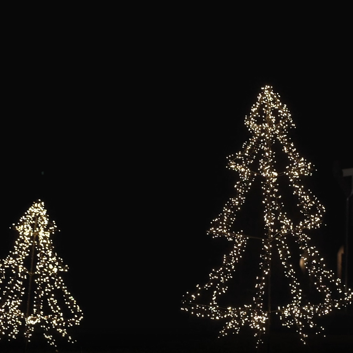 LED Outdoor Weihnachtsbaum - 1200 warmweiß funkelnde LED - H: 2m - Timer - aufklappbar - schwarz