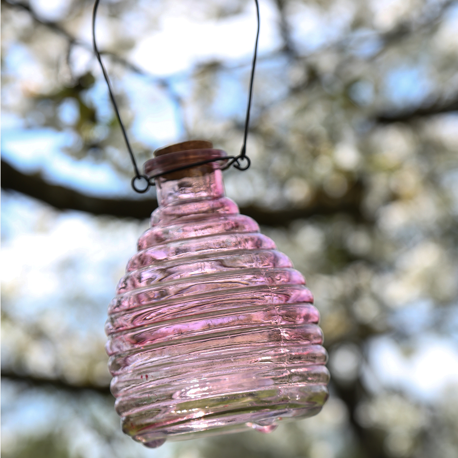 Wespenfänger HONIGTOPF - Wespenfalle - geriffeltes Glas - D: 13cm - H: 17cm