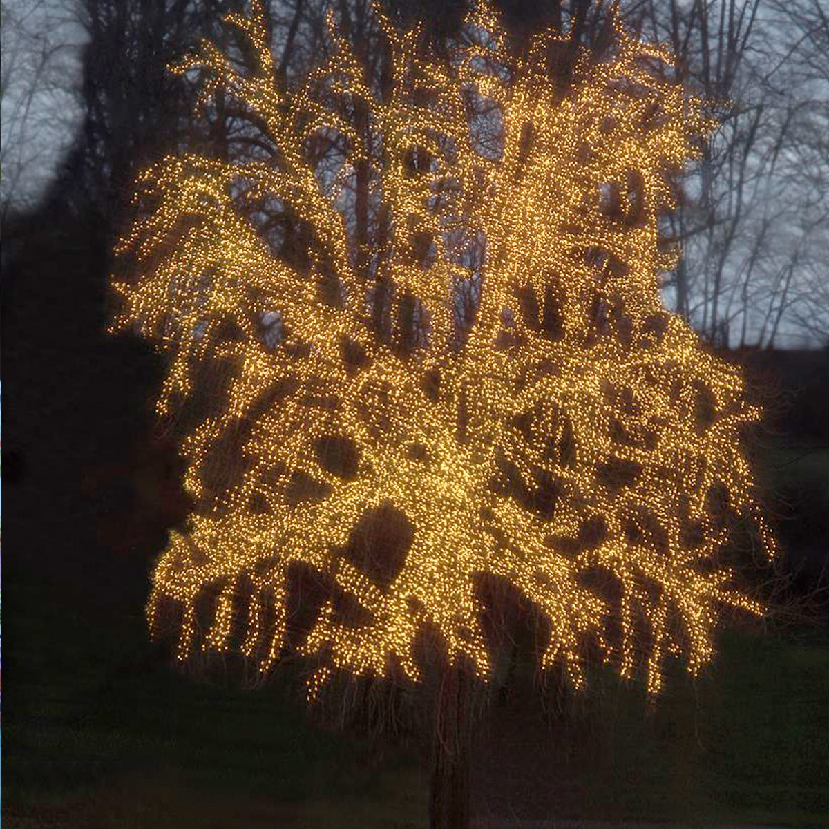 System 24 - LED Lichterkette 5m - koppelbar - Erweiterung - 49 warmweiße LED - exkl. Trafo