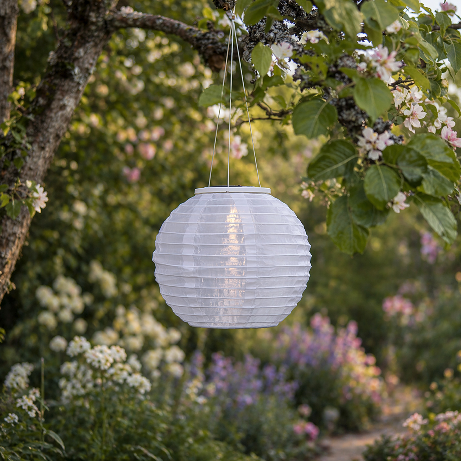 LED Solar Lampion - warmweiße LED - H: 21cm - D: 25cm - Lichtsensor - weiß