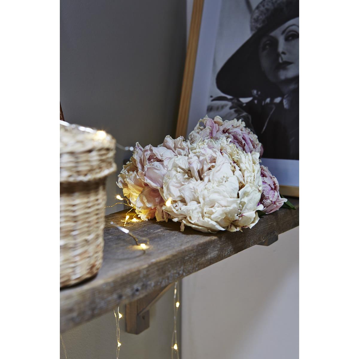 LED Drahtlichterkette "Dew Drop" - 100 weiße LED - silberner Draht - 5m - inkl. Trafo LED Drahtlichterkette "Dew Drop" - 100 weiße LED - silberner Draht - 5m - inkl. Trafo