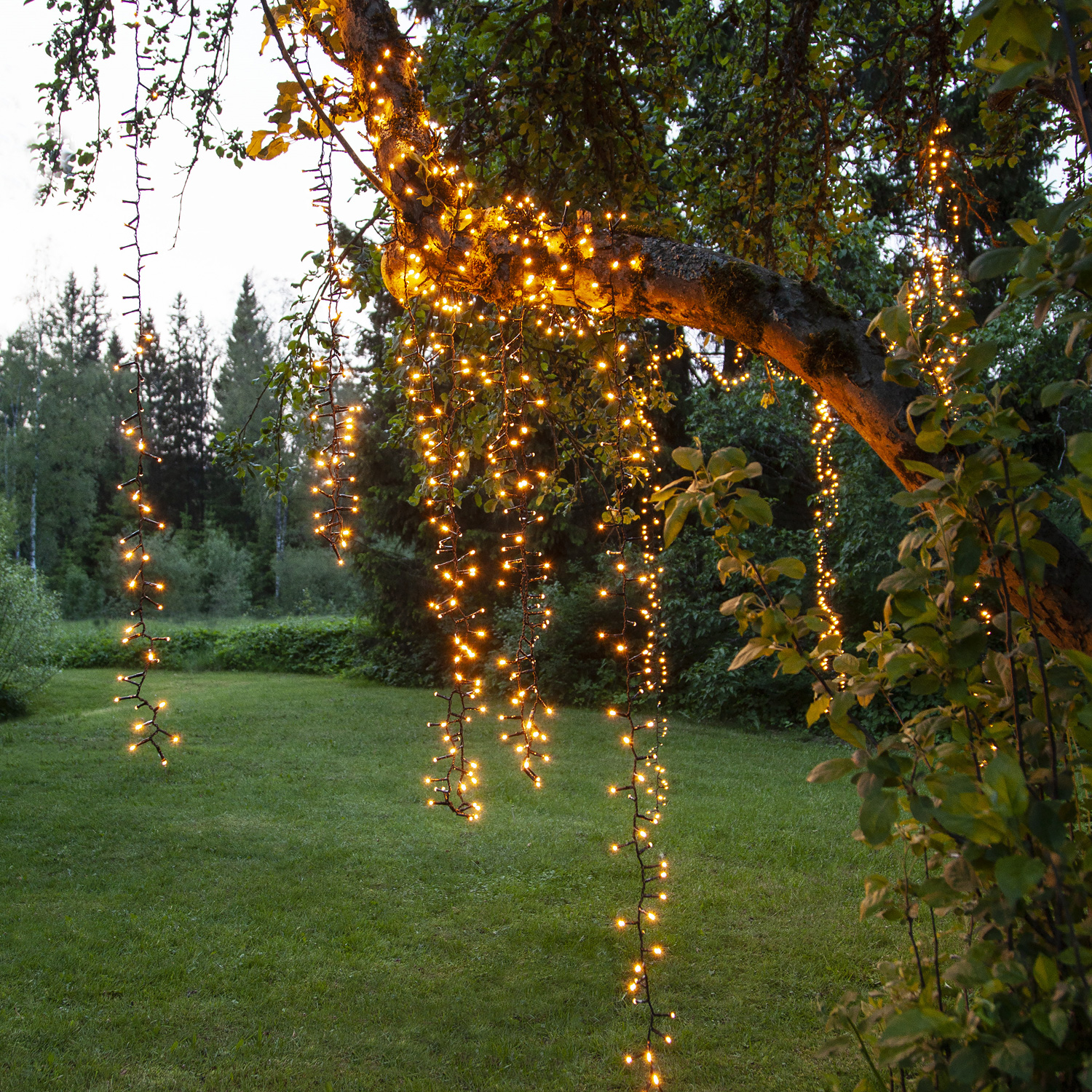 LED Lichterkette - Serie LED - outdoor - 800 ultra warmweiße LED - L: 16m - schwarzes Kabel LED Lichterkette - Serie LED - outdoor - 800 ultra warmweiße LED - L: 16m - schwarzes Kabel