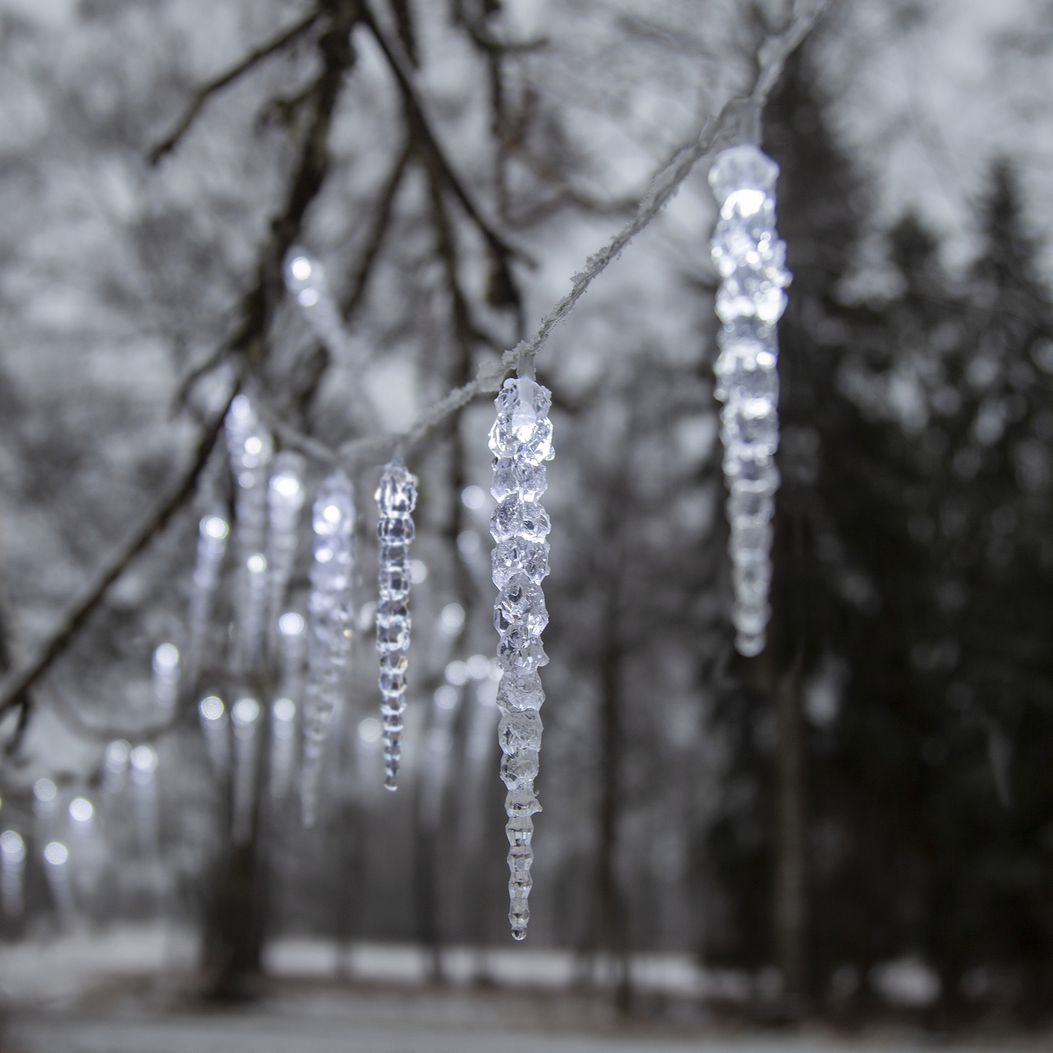 LED Lichterkette Eiszapfen - 40 Eiszapfen - 8 Lauflichtfunktionen - L: 6m - Timer - für Außen LED Lichterkette Eiszapfen - 40 Eiszapfen - 8 Lauflichtfunktionen - L: 6m - Timer - für Außen