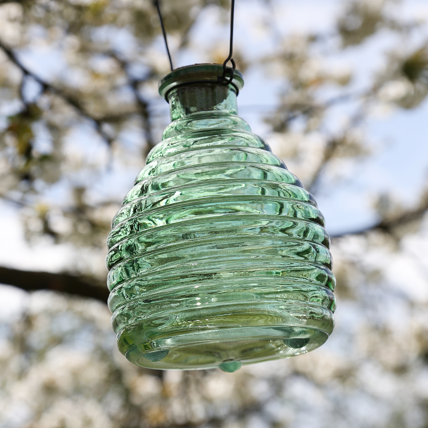 Wespenfänger HONIGTOPF - Wespenfalle - geriffeltes Glas - D: 13cm - H: 17cm