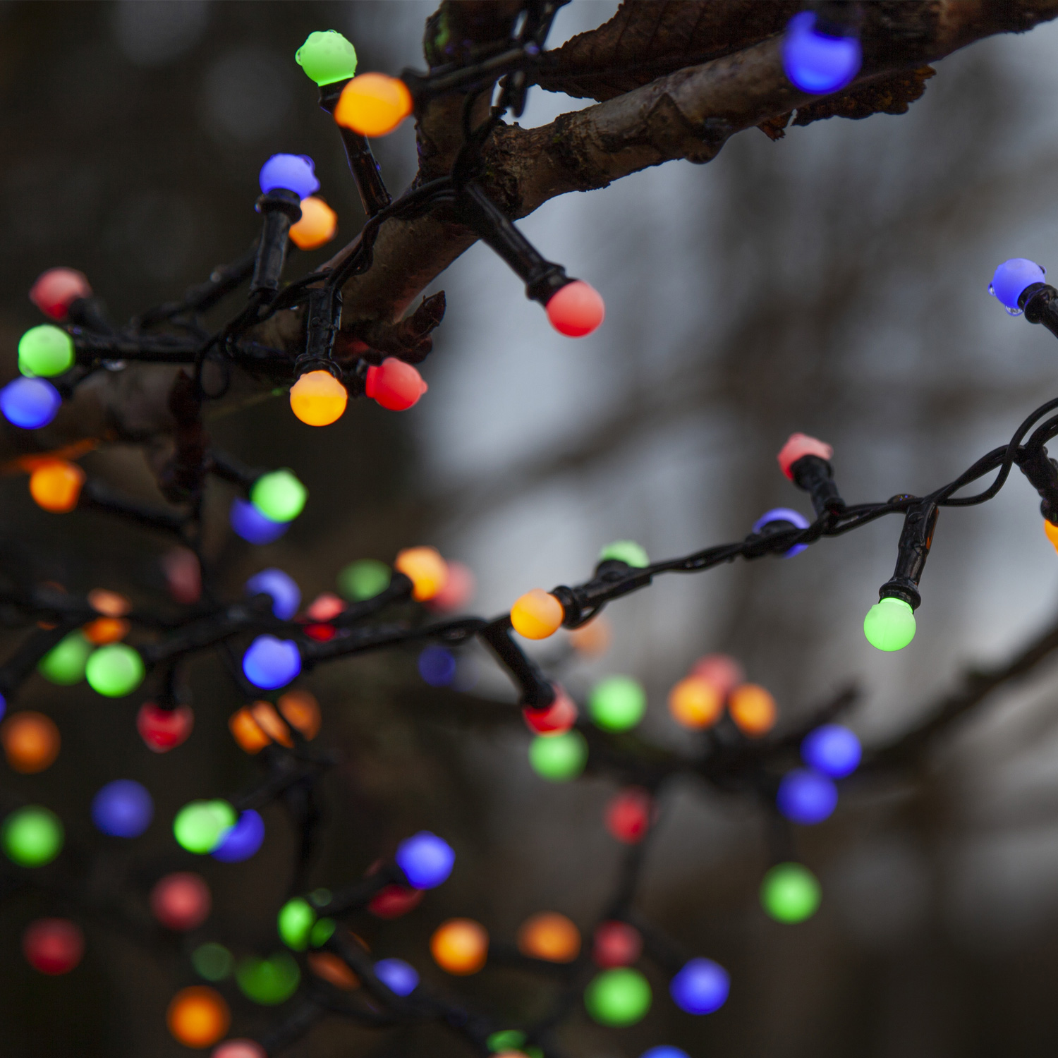 LED Lichterkette Berry Mini - 300 bunte opale LED - 6m - 8 Funktionen - Trafo - Timer - outdoor LED Lichterkette Berry Mini - 300 bunte opale LED - 6m - 8 Funktionen - Trafo - Timer - outdoor