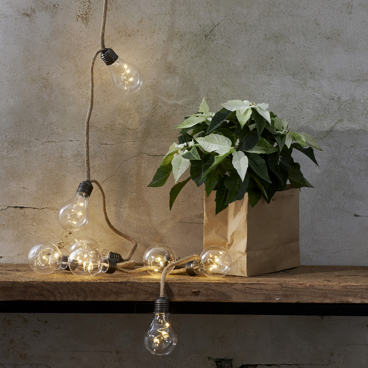 LED Lichterkette "Jutta" - 10 Glühbirnen mit je 3 LED - L: 225cm - Batteriebetrieb - transparent LED Lichterkette "Jutta" - 10 Glühbirnen mit je 3 LED - L: 225cm - Batteriebetrieb - transparent