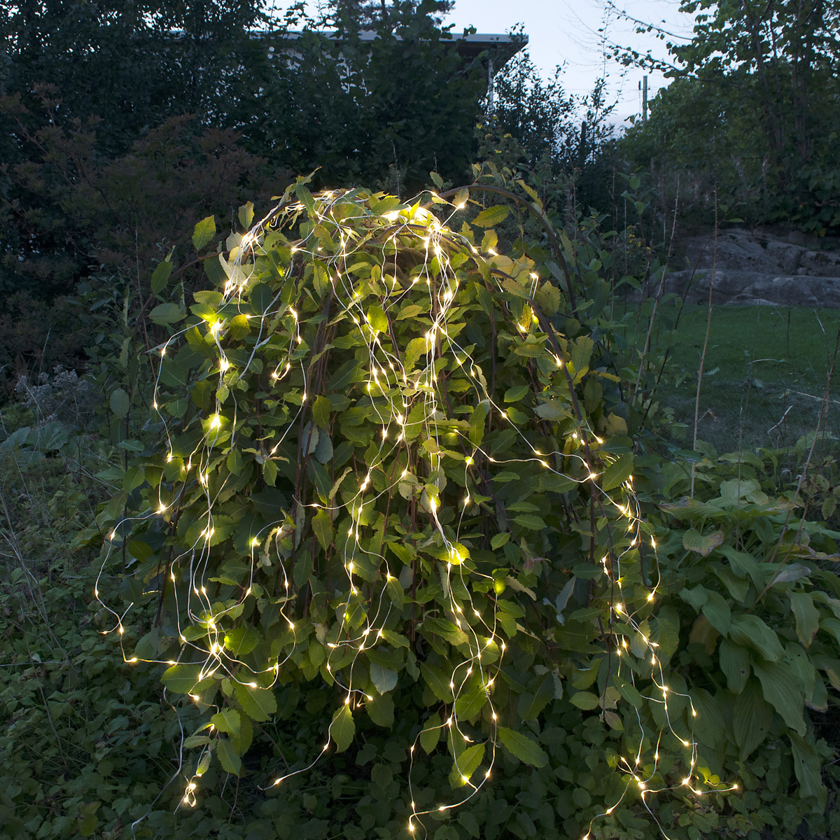 LED-Draht-Bündel "Dew Drop Outdoor" - silber - 360 warmweiße LEDs, 23 Stränge - 2,0m - IP44 LED-Draht-Bündel "Dew Drop Outdoor" - silber - 360 warmweiße LEDs, 23 Stränge - 2,0m - IP44