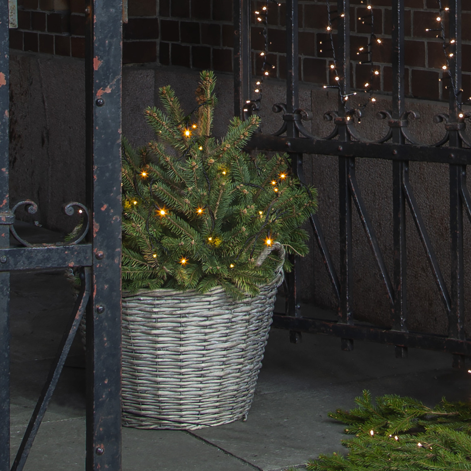 System 24 | Lichterkette Starter Set 5m| koppelbar | 49 warmweiße LEDs | inkl. Trafo System 24 | Lichterkette Starter Set 5m| koppelbar | 49 warmweiße LEDs | inkl. Trafo