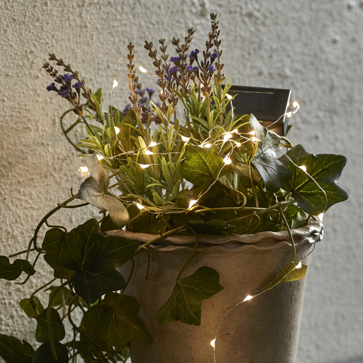 LED-Solar-Lichterkette mit 50 warmweißen LEDs an silbernem Draht - 5m - Dämmerungssensor LED-Solar-Lichterkette mit 50 warmweißen LEDs an silbernem Draht - 5m - Dämmerungssensor