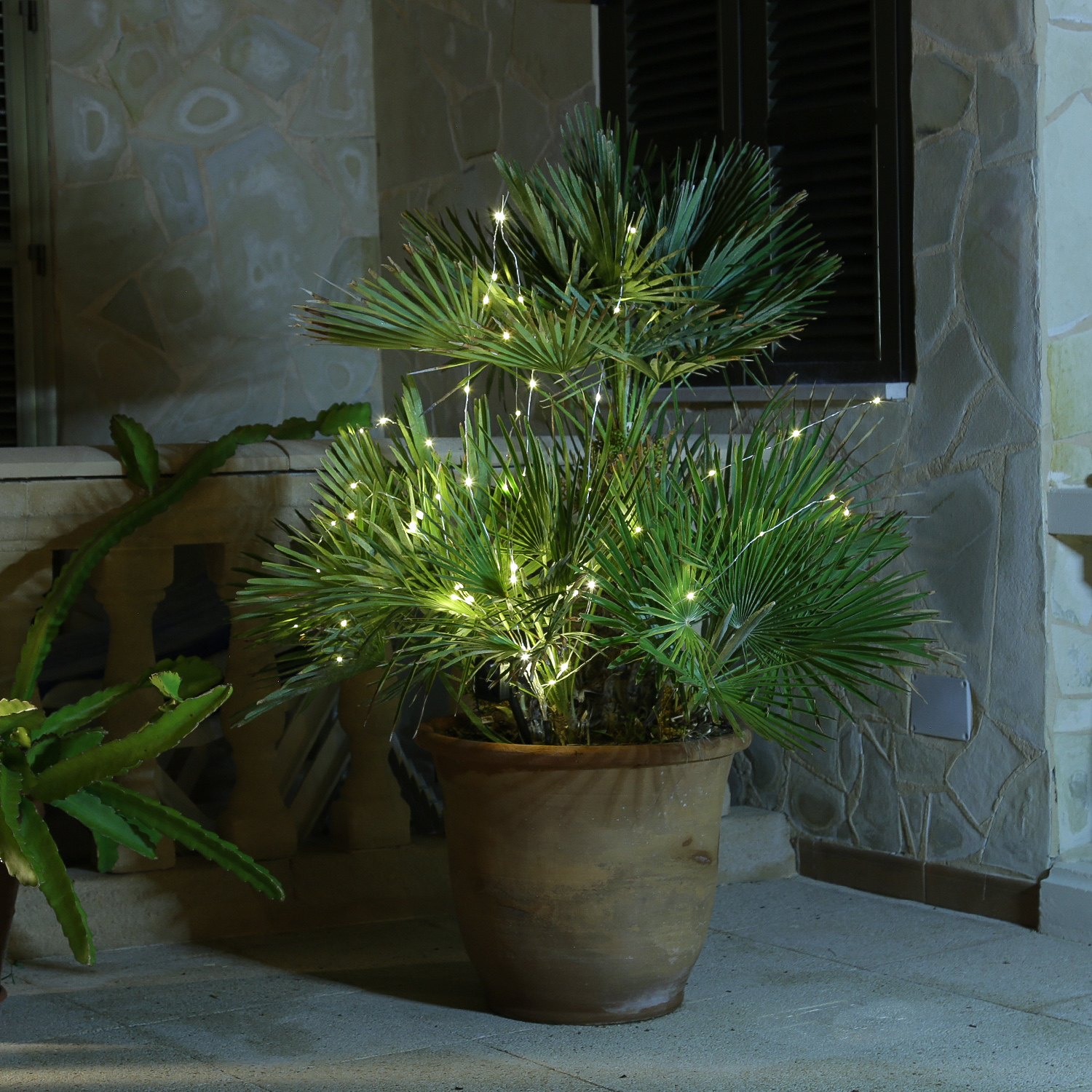 LED Draht Lichtbündel - Pflanzenbeleuchtung - 60 warmweiße LED - L: 80cm - Timer - Batterie - silber LED Draht Lichtbündel - Pflanzenbeleuchtung - 60 warmweiße LED - L: 80cm - Timer - Batterie - silber