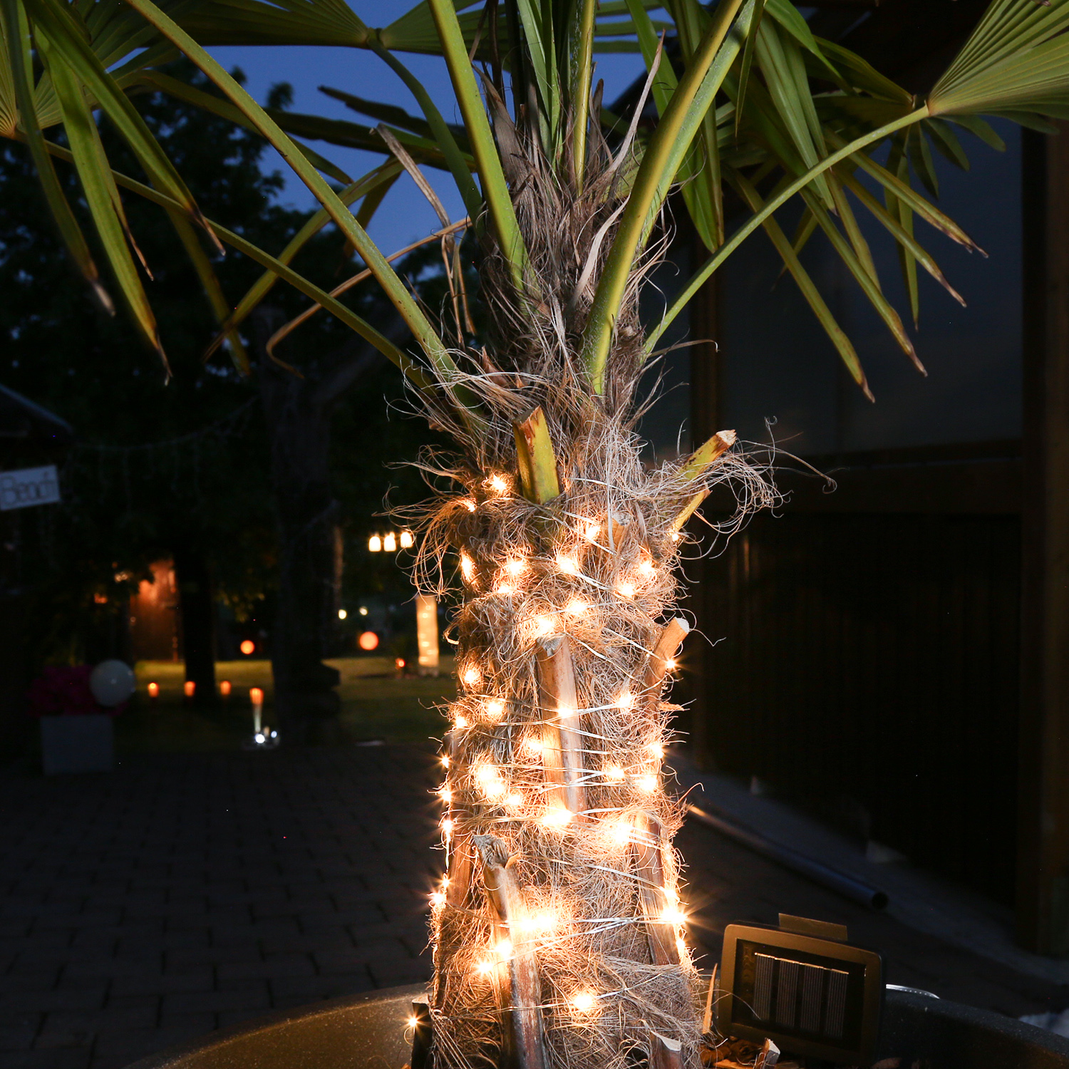 LED Solar Drahtlichterkette - 100 warmweiße LED - Blinkfunktion - L:9,9m - Dämmerungssensor - silber LED Solar Drahtlichterkette - 100 warmweiße LED - Blinkfunktion - L:9,9m - Dämmerungssensor - silber