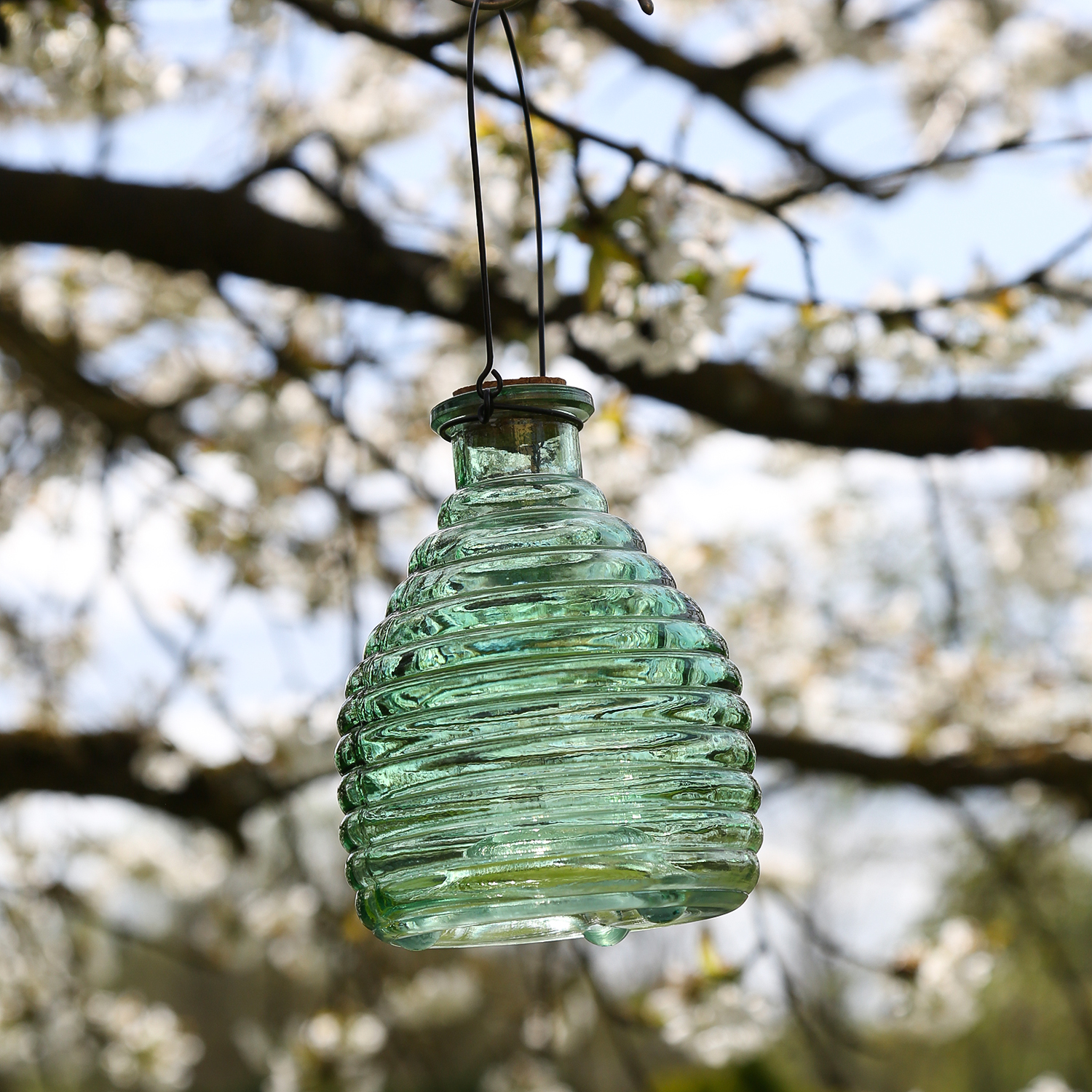 Wespenfänger HONIGTOPF - Wespenfalle - geriffeltes Glas - D: 13cm - H: 17cm