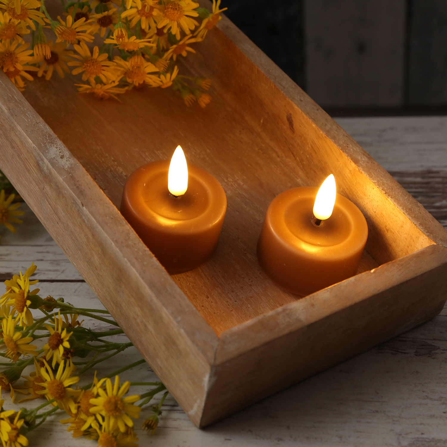 LED Teelichter MIA - Kunststoff - realistische 3D Flamme - D: 4,1cm - karamell - 2 Stk LED Teelichter MIA - Kunststoff - realistische 3D Flamme - D: 4,1cm - karamell - 2 Stk