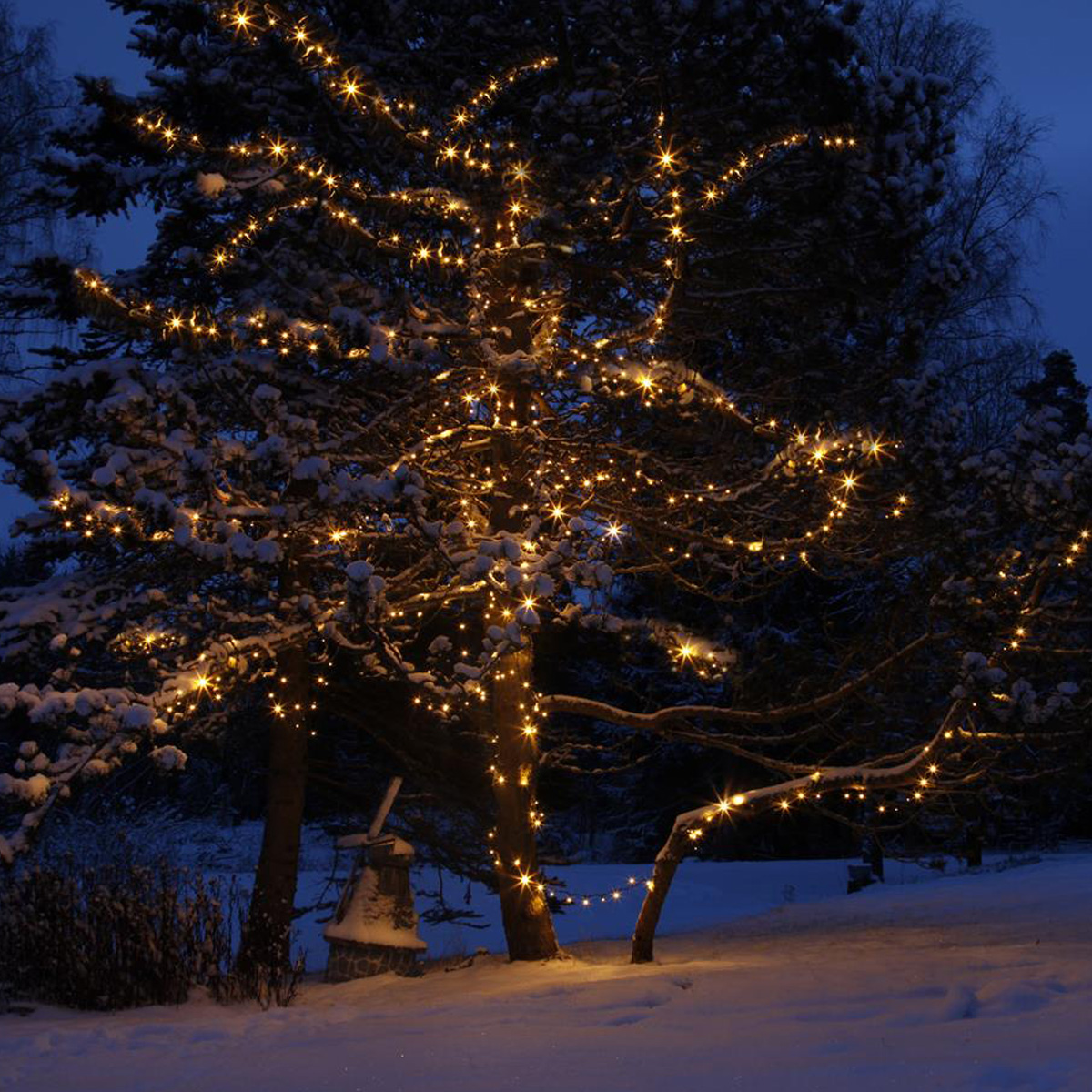 System  24 | LED-Lichterkette | koppelbar | exkl. Trafo | 5.00m | 49x Warmweiß