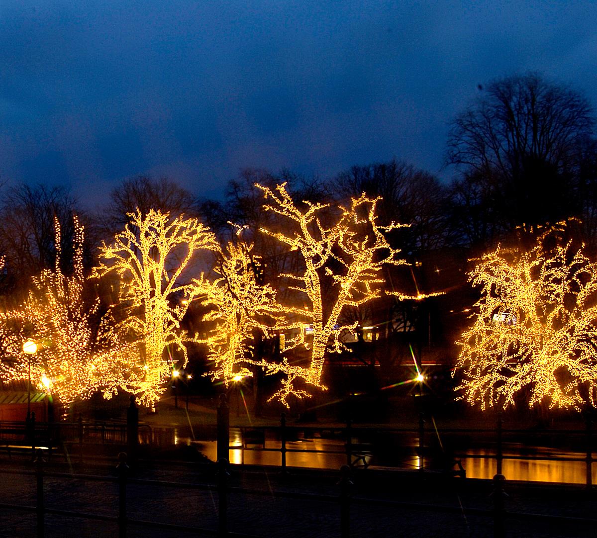 System LED Black | Lichtvorhang | koppelbar | exkl. Trafo |	1.00m x 2.00m | 102x Warmweiß