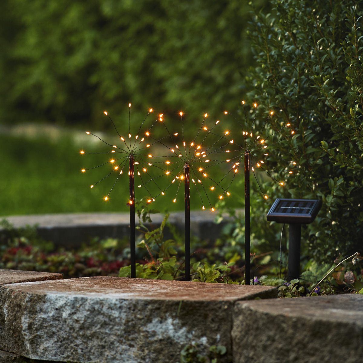 LED Solar "Feuerwerk" - 3 schwarze Spieße mit je 30 warmweißen LED - H: 40cm - Dämerungssensor LED Solar "Feuerwerk" - 3 schwarze Spieße mit je 30 warmweißen LED - H: 40cm - Dämerungssensor