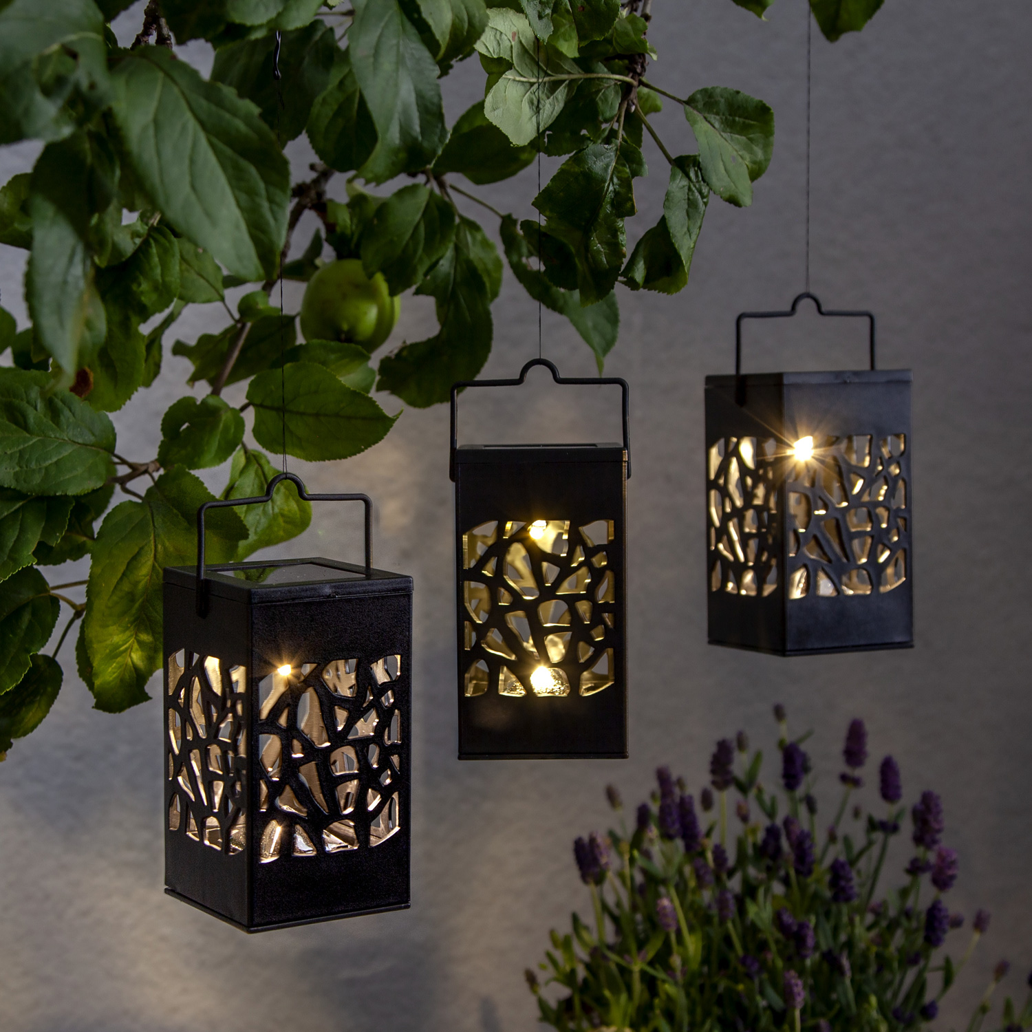 LED Solar Laternen Izola - zum Hängen o. Stellen - warmweiße LED - H: 11cm - Lichtsensor - 3er Set LED Solar Laternen Izola - zum Hängen o. Stellen - warmweiße LED - H: 11cm - Lichtsensor - 3er Set