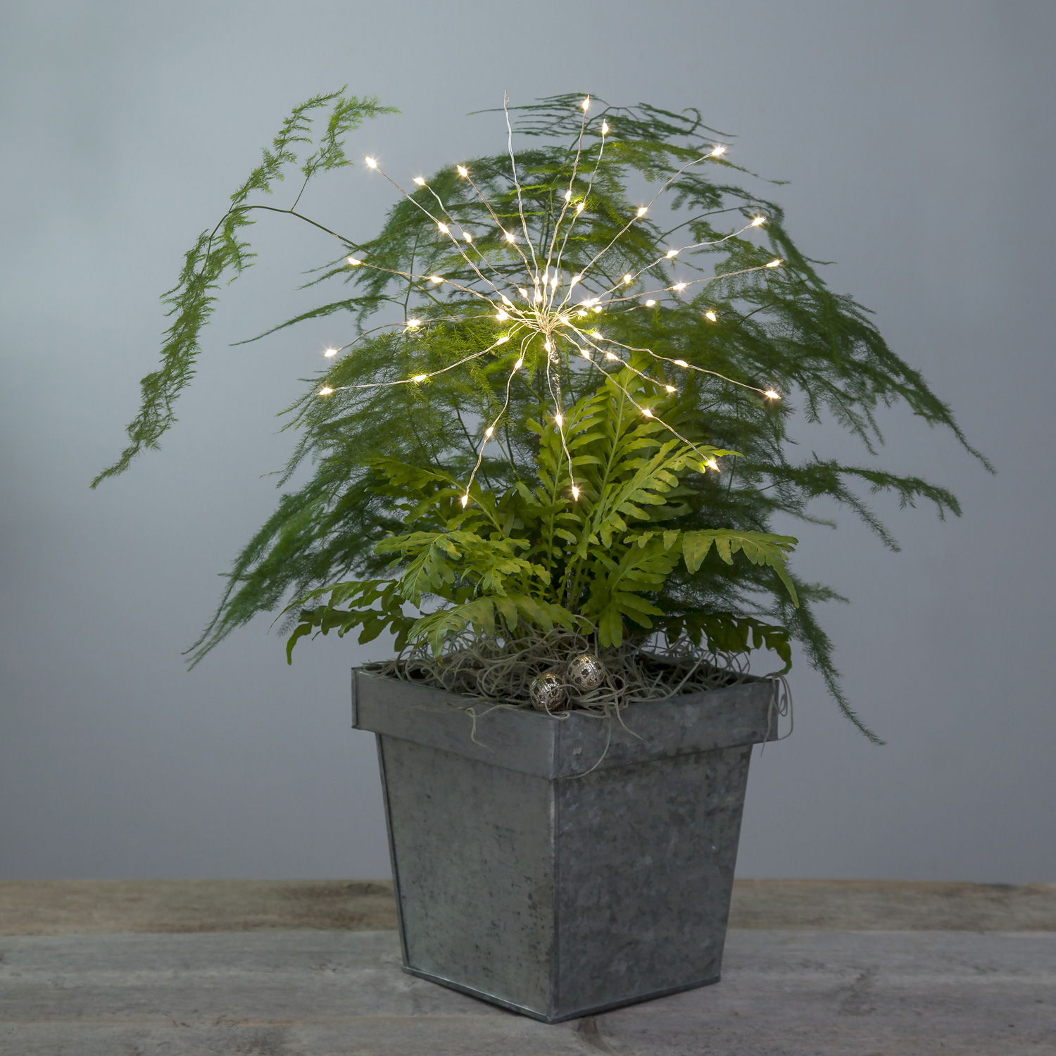 LED-Lichterbouquet Firework - silber - 20 Äste, 60 daylight LED - H: 42cm - Batterie - Timer LED-Lichterbouquet Firework - silber - 20 Äste, 60 daylight LED - H: 42cm - Batterie - Timer
