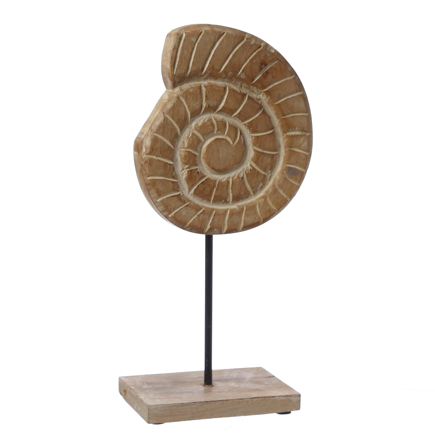 Deko Muschel - maritime Deko - Mangoholz - auf Holzfuß - H: 26cm
