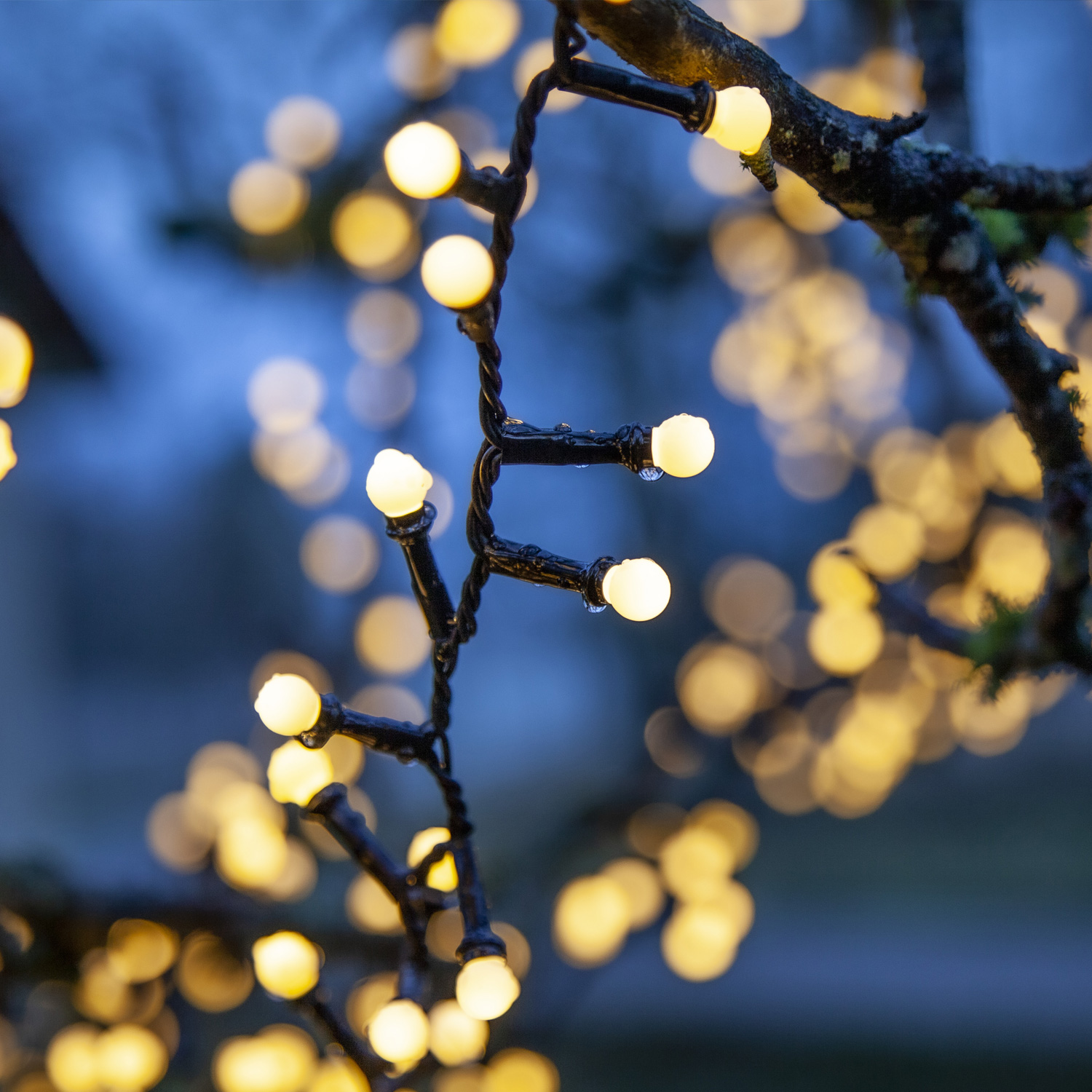 LED Lichterkette Berry Mini - 700 warmweiße opale LED - 14m - 8 Funktionen - Trafo - Timer - outdoor LED Lichterkette Berry Mini - 700 warmweiße opale LED - 14m - 8 Funktionen - Trafo - Timer - outdoor