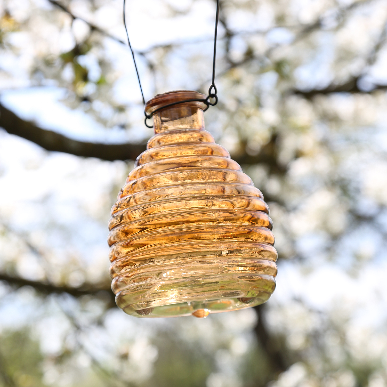 Wespenfänger HONIGTOPF - Wespenfalle - geriffeltes Glas - D: 13cm - H: 17cm