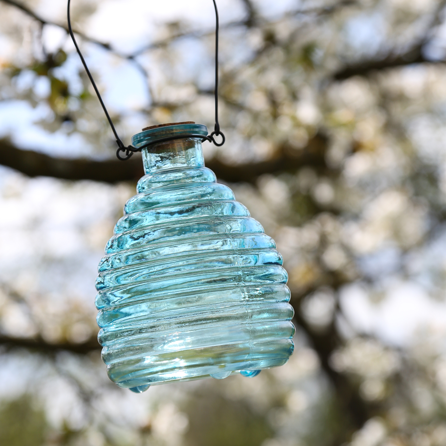 Wespenfänger HONIGTOPF - Wespenfalle - geriffeltes Glas - D: 13cm - H: 17cm