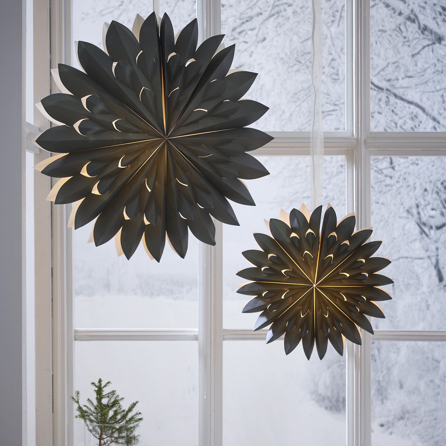 Papierstern CLIPP - hängend - D: 60cm - mit Band - Papier - grün Papierstern CLIPP - hängend - D: 60cm - mit Band - Papier - grün