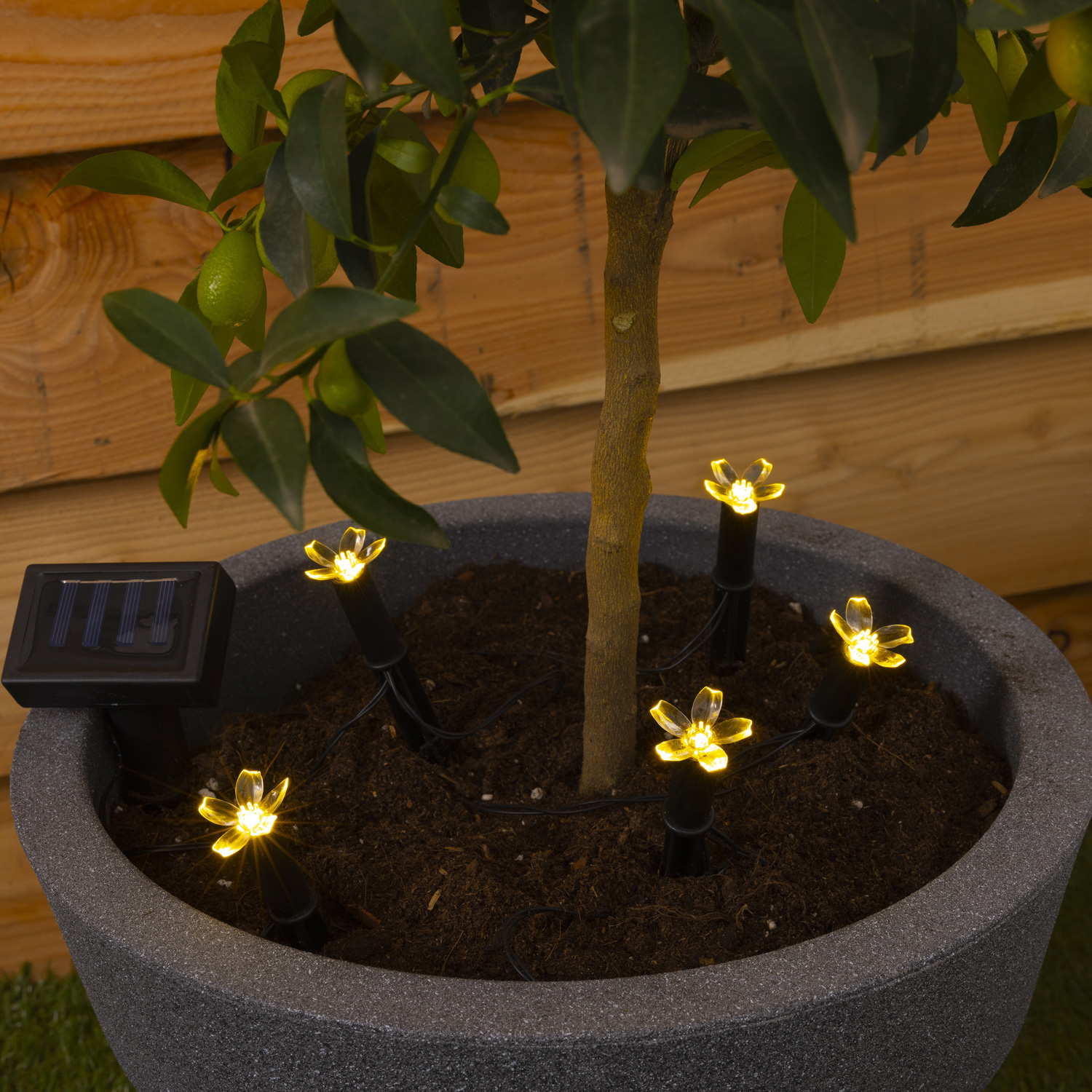 LED Solar Lichterkette Blüten - 5 warmweiße LED - L: 1,2m - H: 17cm - Lichtsensor - für Außen LED Solar Lichterkette Blüten - 5 warmweiße LED - L: 1,2m - H: 17cm - Lichtsensor - für Außen