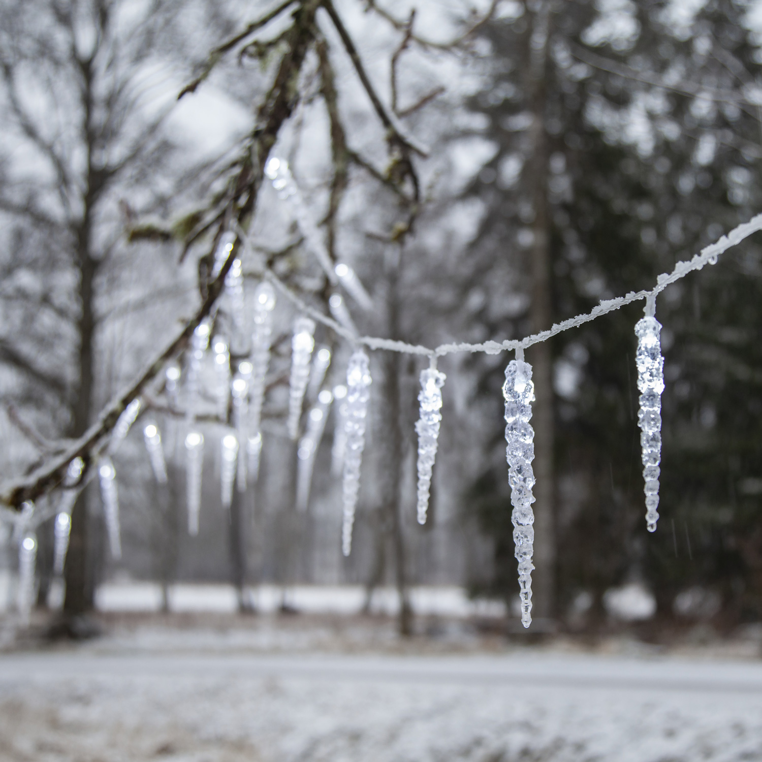 LED Lichterkette Eiszapfen - 40 Eiszapfen - 8 Lauflichtfunktionen - L: 6m - Timer - für Außen LED Lichterkette Eiszapfen - 40 Eiszapfen - 8 Lauflichtfunktionen - L: 6m - Timer - für Außen