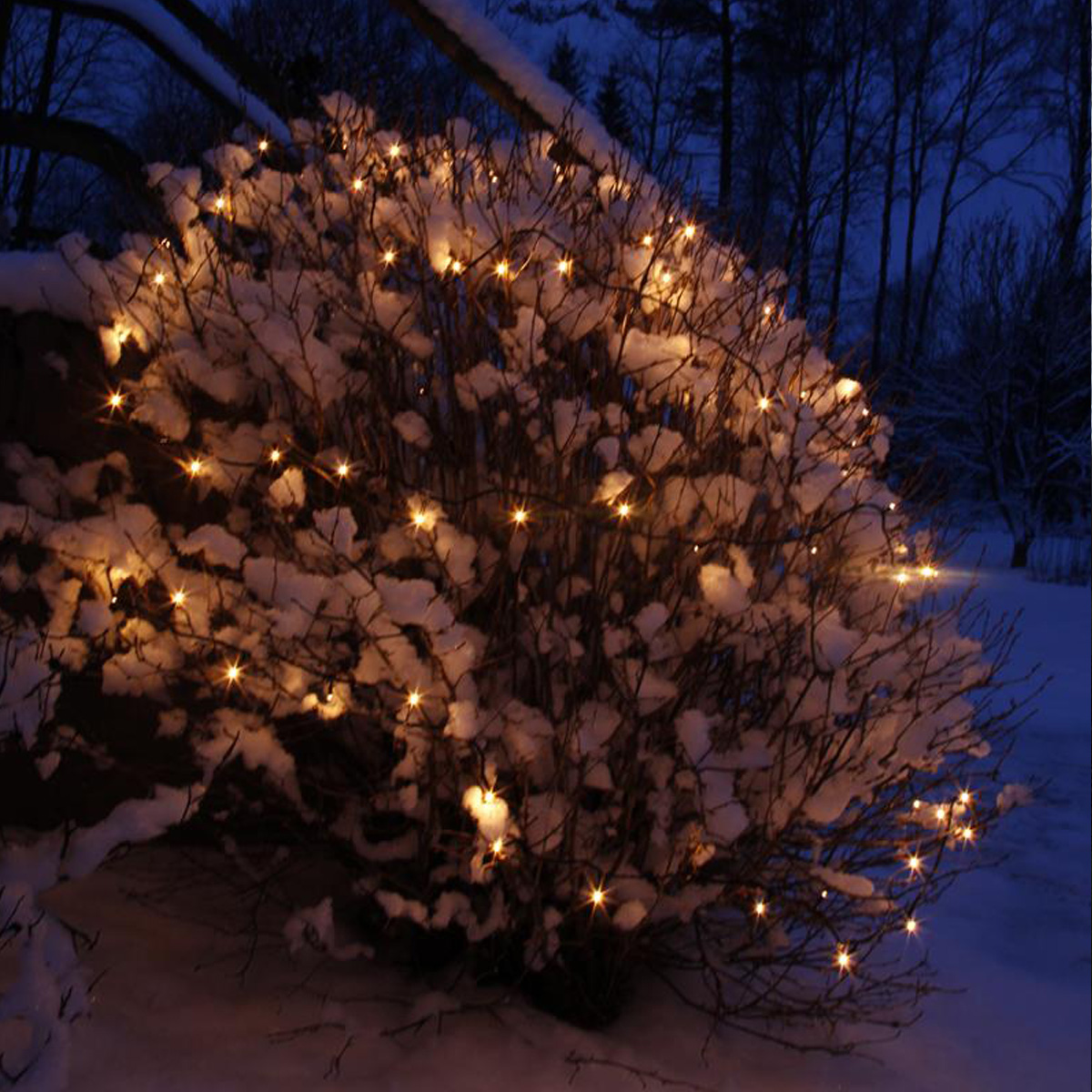 System  24 | LED-Lichterkette | koppelbar | exkl. Trafo | 5.00m | 49x Warmweiß