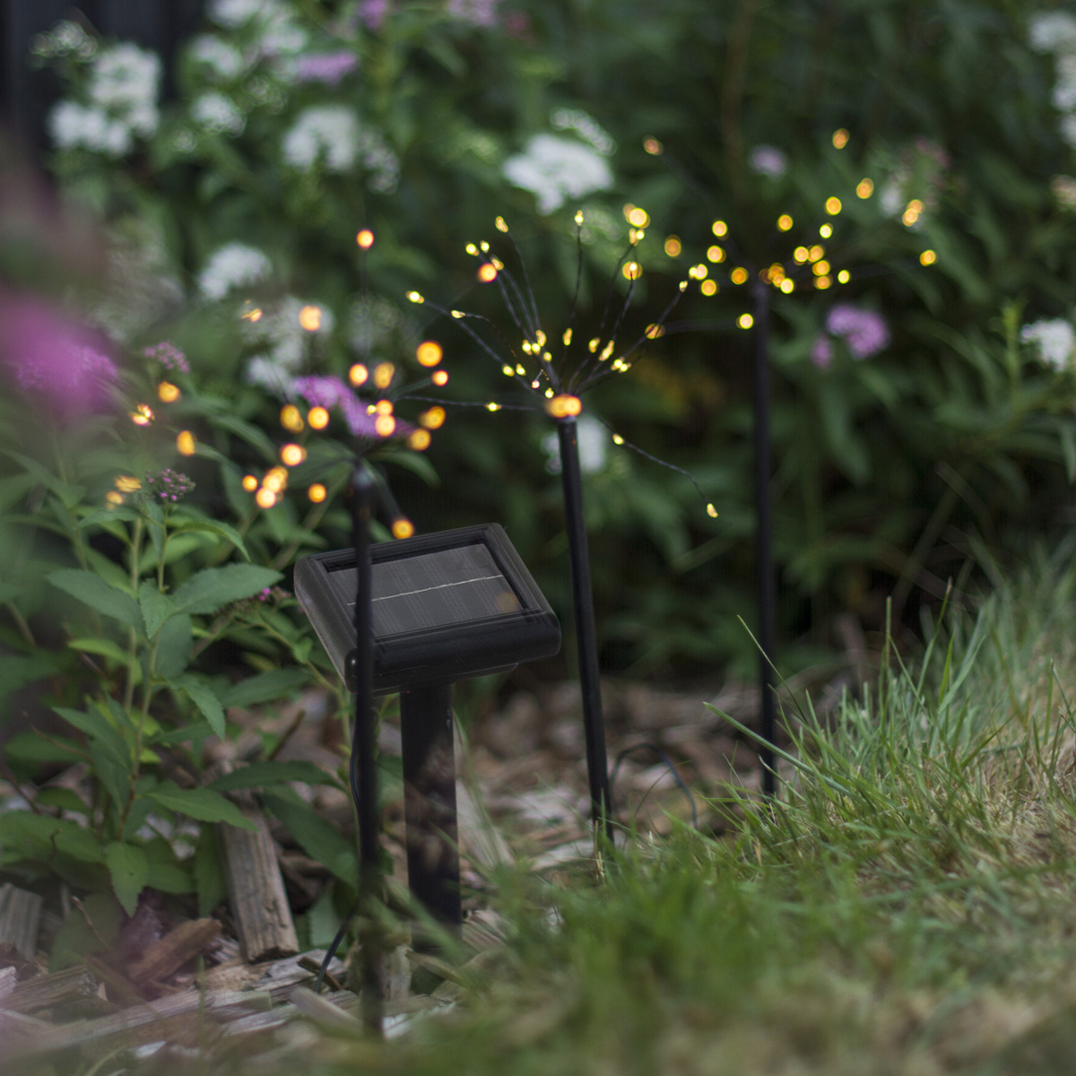 LED Solar "Feuerwerk" - 3 schwarze Spieße mit je 30 warmweißen LED - H: 40cm - Dämerungssensor LED Solar "Feuerwerk" - 3 schwarze Spieße mit je 30 warmweißen LED - H: 40cm - Dämerungssensor