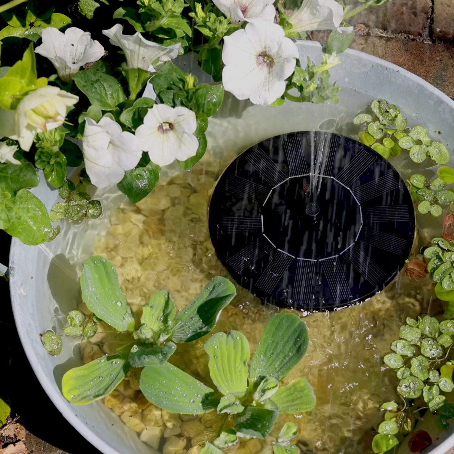 Solar Teichpumpe - schwimmende Fontäne - Kunststoff - D: 16cm - 4 Aufsätze - schwarz Solar Teichpumpe - schwimmende Fontäne - Kunststoff - D: 16cm - 4 Aufsätze - schwarz