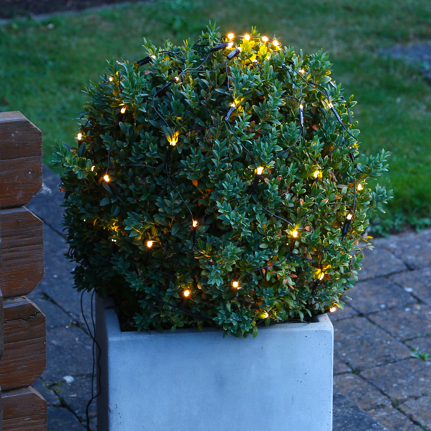LED Lichternetz für Buchsbaum - Kugelnetz - 60 warmweiße LED - 24V Außentrafo - D: 35cm - grün