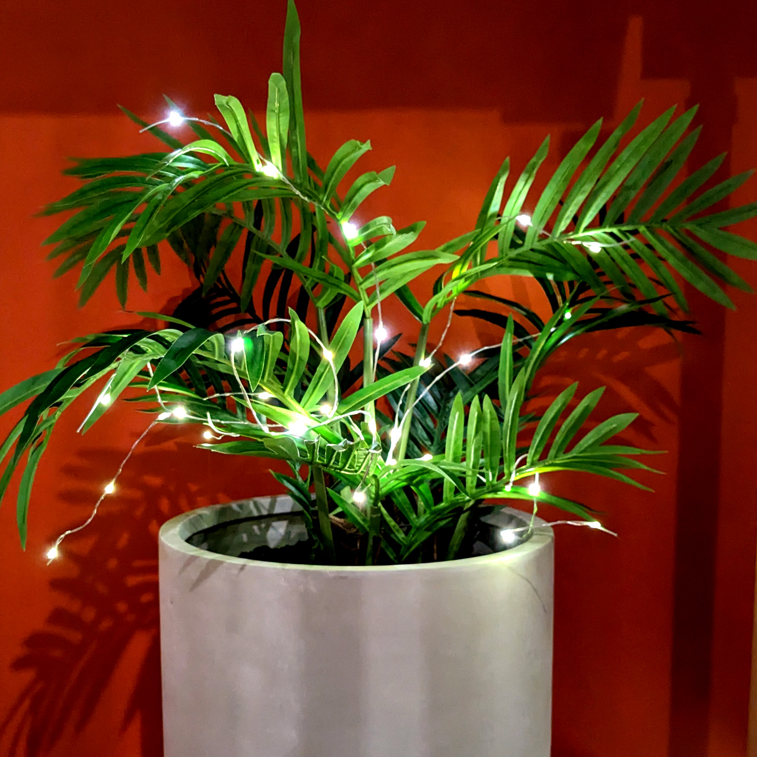 LED Draht Lichtbündel - Pflanzenbeleuchtung - 60 warmweiße LED - L: 80cm - Timer - Batterie - silber LED Draht Lichtbündel - Pflanzenbeleuchtung - 60 warmweiße LED - L: 80cm - Timer - Batterie - silber