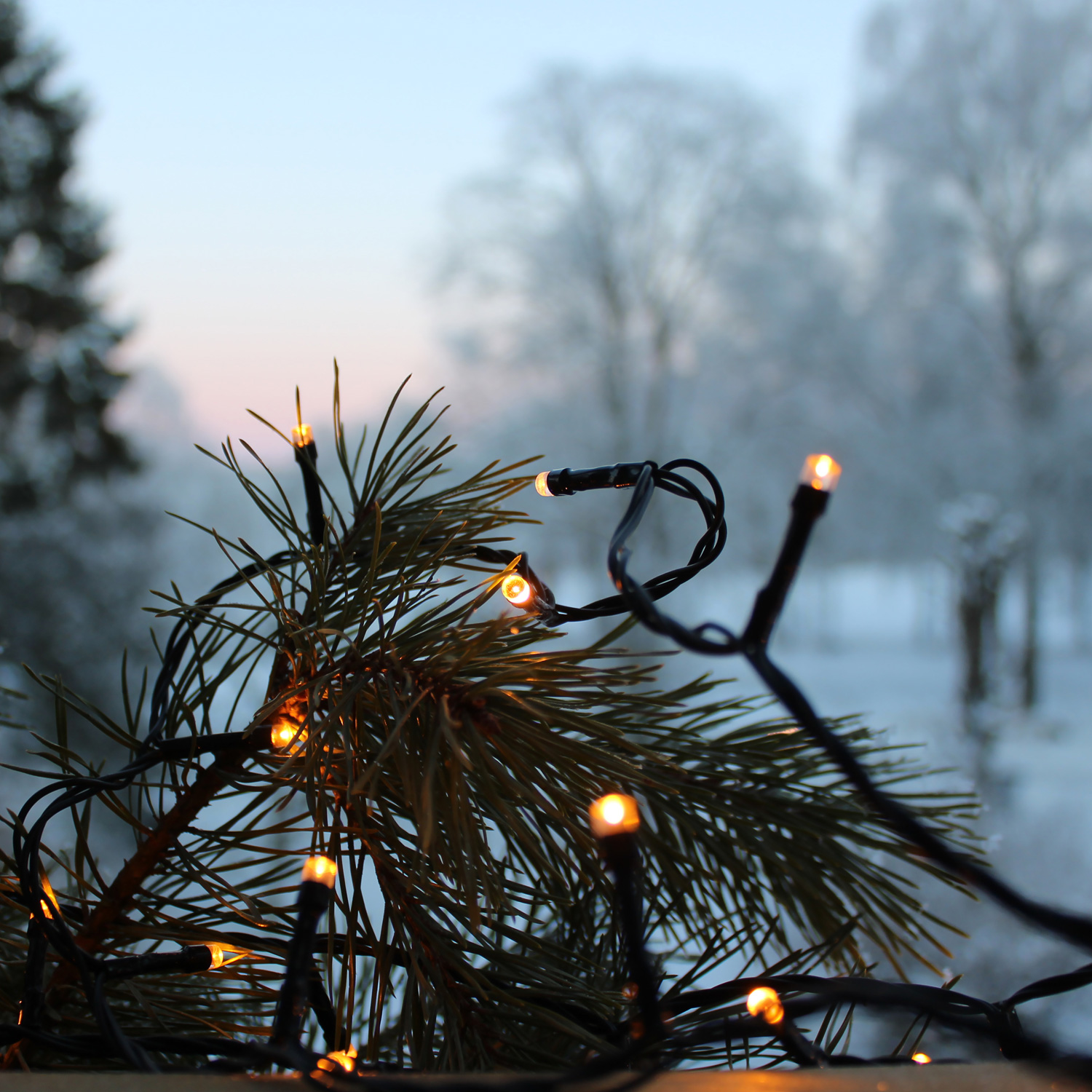 LED Lichterkette - Serie LED - outdoor - 40 ultra warmweiße LED - L: 2,8m - schwarzes Kabel LED Lichterkette - Serie LED - outdoor - 40 ultra warmweiße LED - L: 2,8m - schwarzes Kabel