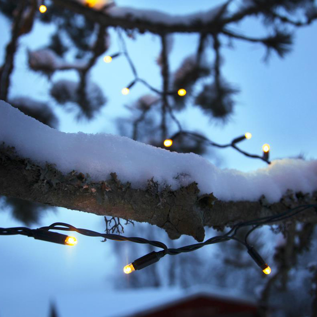 System  24 | LED-Lichterkette | koppelbar | exkl. Trafo | 5.00m | 49x Warmweiß System  24 | LED-Lichterkette | koppelbar | exkl. Trafo | 5.00m | 49x Warmweiß