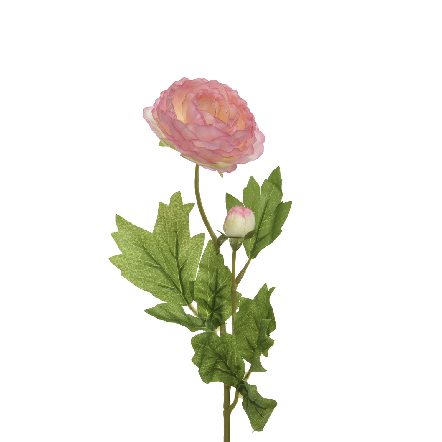 Ranunkel mit Blüte und Knospe am Stiel - Kunstblume - H: 57cm - rosa Ranunkel mit Blüte und Knospe am Stiel - Kunstblume - H: 57cm - rosa