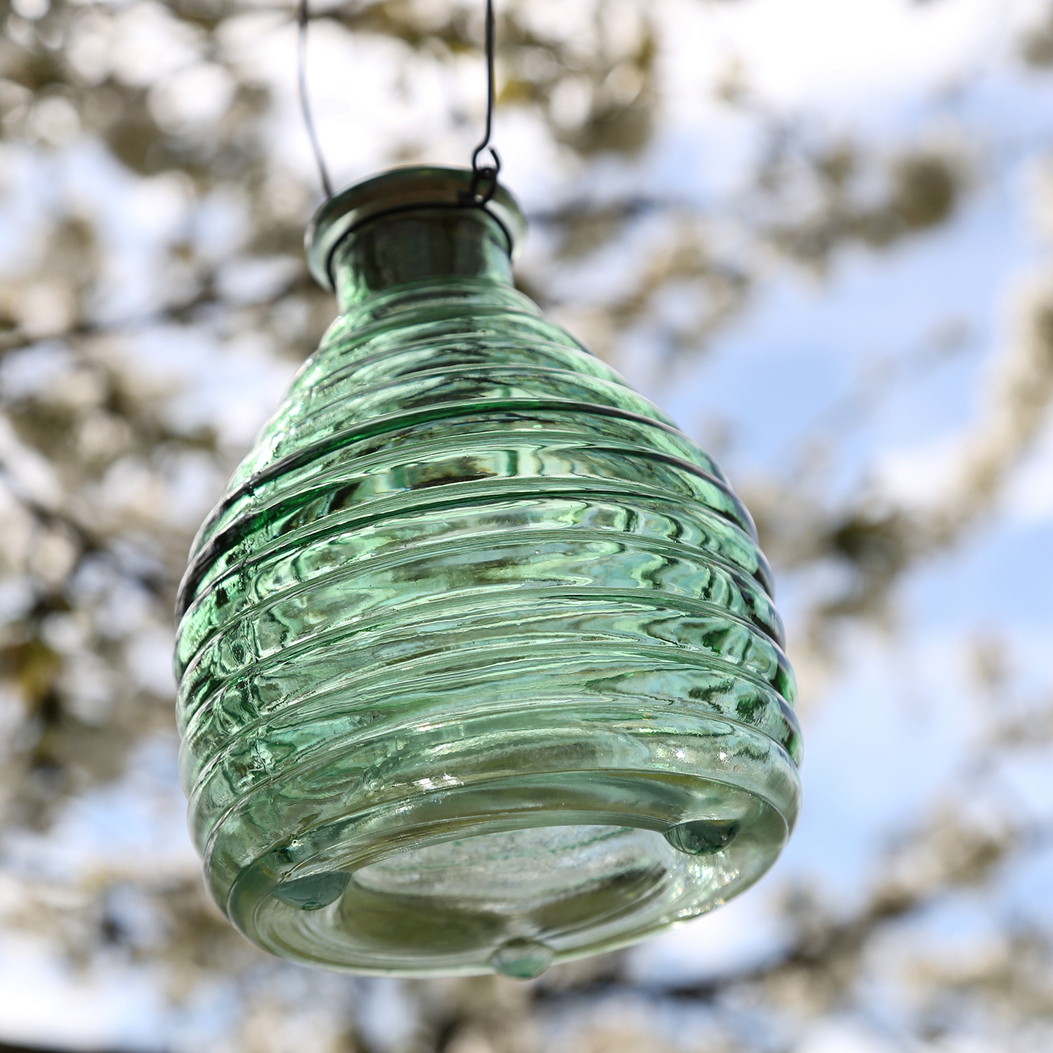 Wespenfänger HONIGTOPF - Wespenfalle - geriffeltes Glas - D: 13cm - H: 17cm