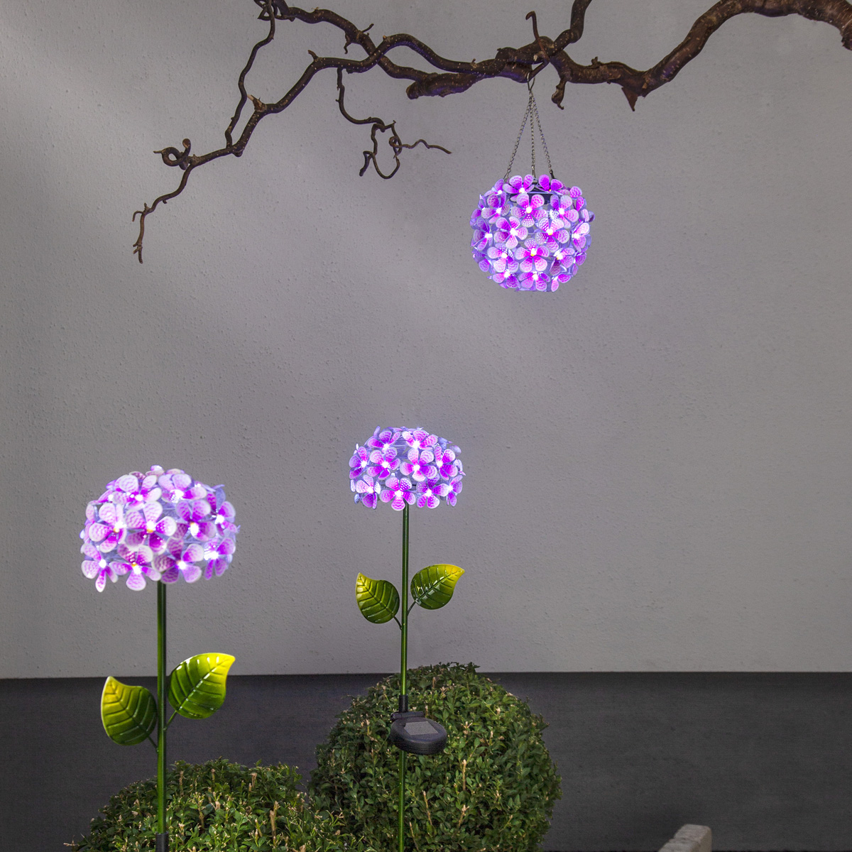 LED Solar Hängedeko "Hortensie" - mit Aufhänger - 44 kaltweiße LED - D: 16cm - Lichtsensor - pink LED Solar Hängedeko "Hortensie" - mit Aufhänger - 44 kaltweiße LED - D: 16cm - Lichtsensor - pink