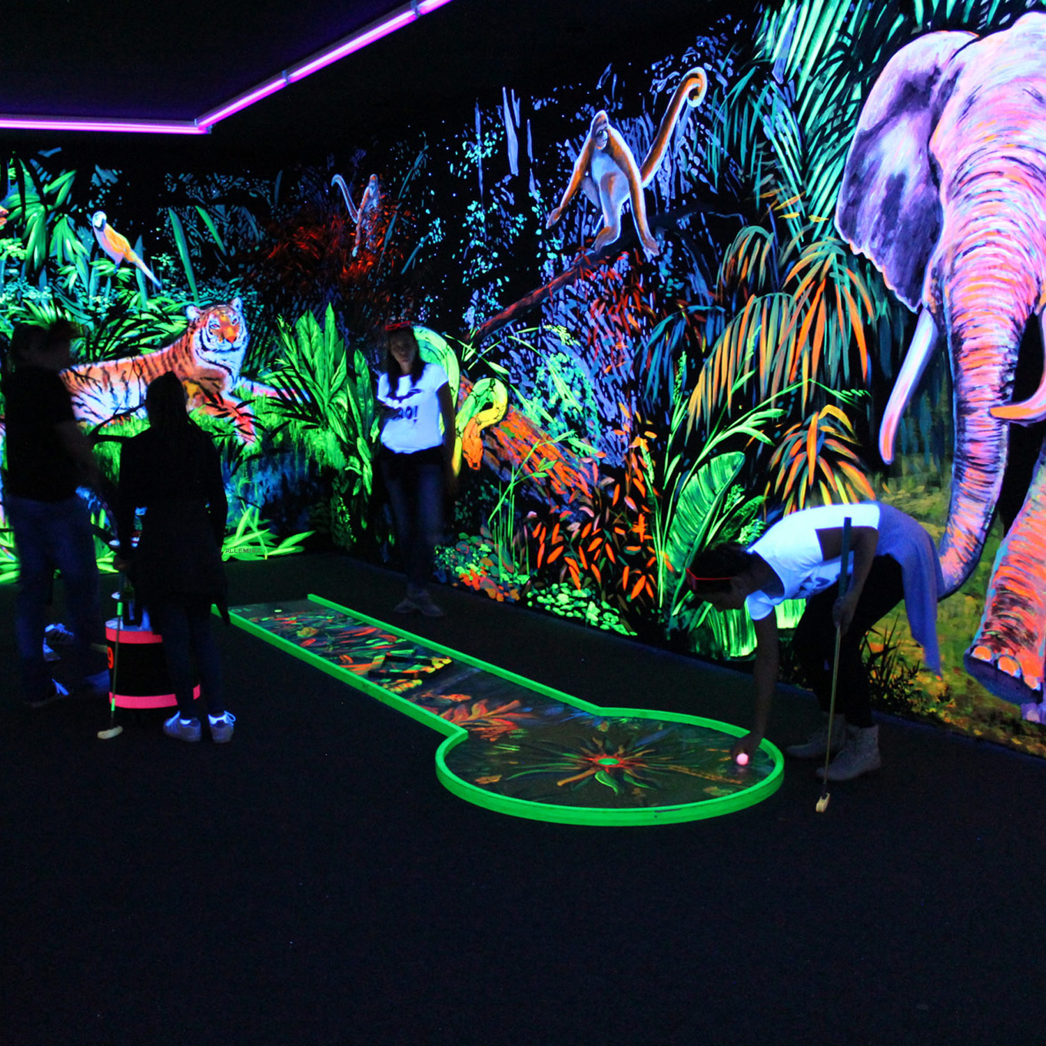 Schwarzlicht-Fluter LED IP FL-30 SMD UV - wetterfest IP65 Schwarzlicht-Fluter LED IP FL-30 SMD UV - wetterfest IP65