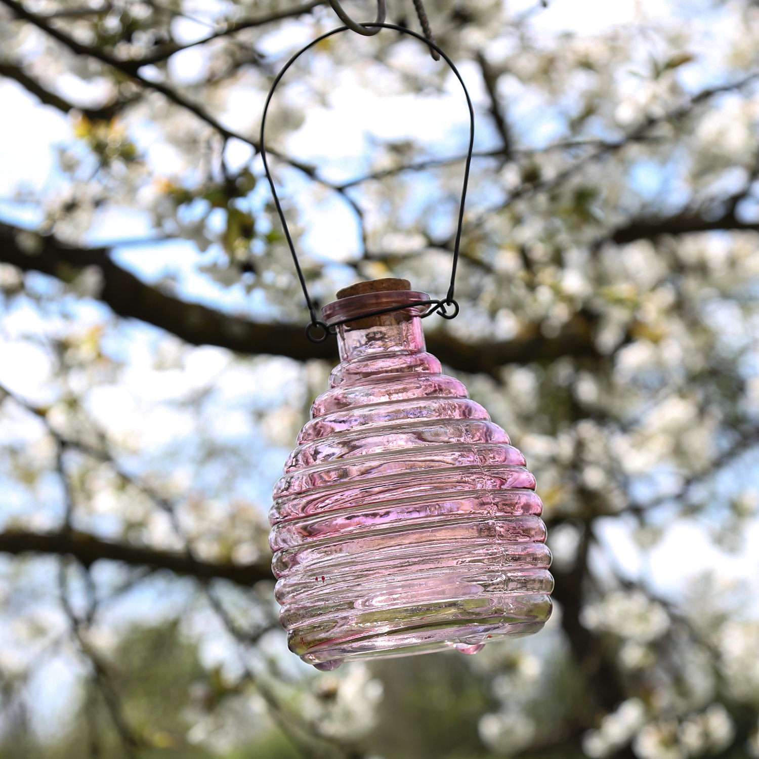 Wespenfänger HONIGTOPF - Wespenfalle - geriffeltes Glas - D: 13cm - H: 17cm